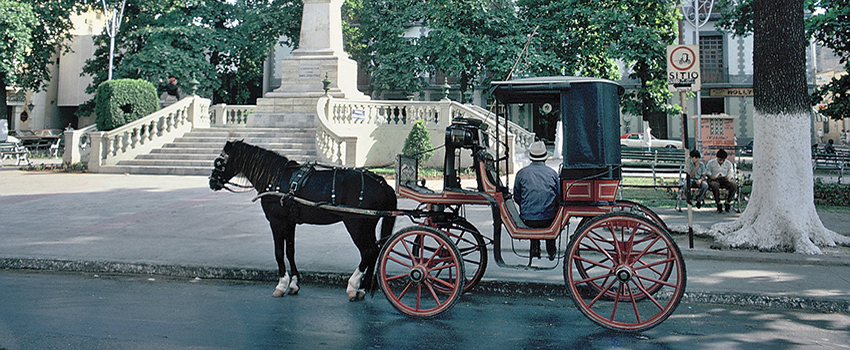 Horse and carriage with man sitting in it.