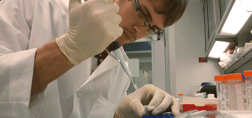 Image of a biomedical student working in a lab.