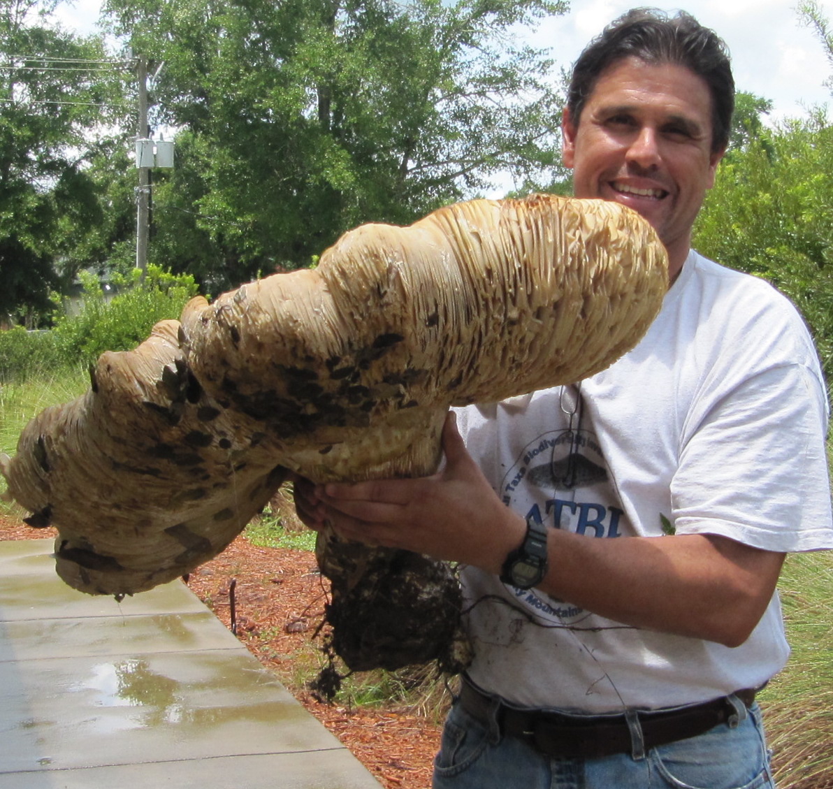 Dr. Mata holding a large mushroom