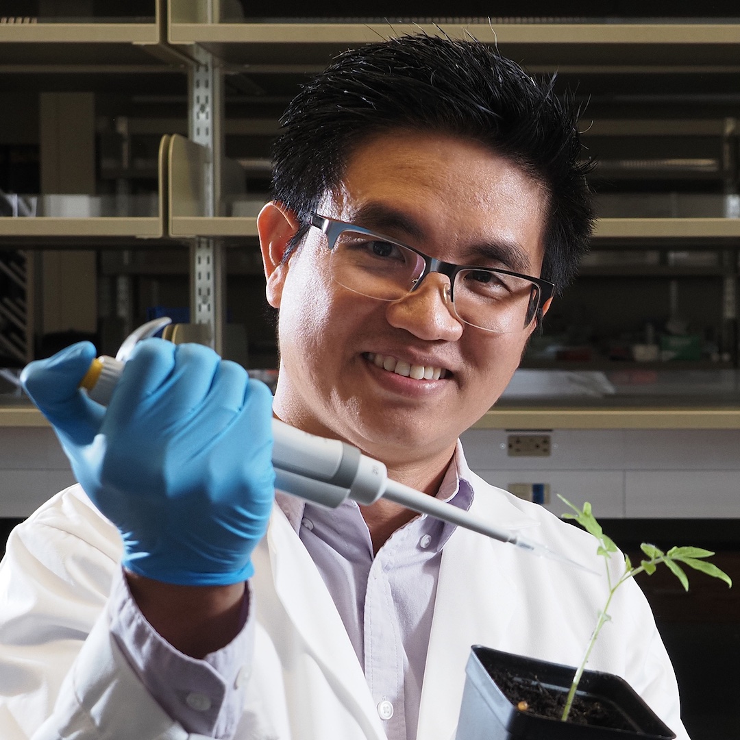 Dr. Tuan Tran's Research				 