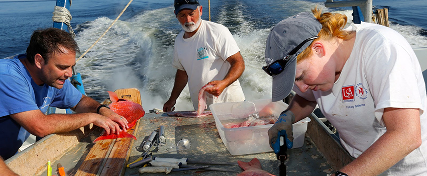 Professors and student working on fish on a boat for Marine Conservation.