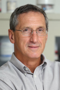 Ronald D. Balczon, Ph.D.