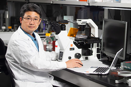 Faculty Spotlight: Jin H. Kim, D.V.M, Ph.D. working in the lab.