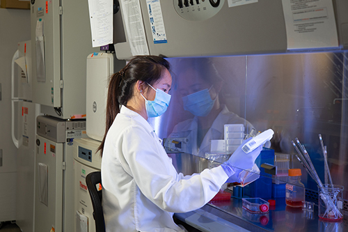 Natthida Tongluan, a graduate research assistant in the Department of Microbiology and Immunology, conducts research in the Laboratory of Infectious Diseases. 