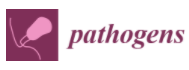 Pathogens Logo