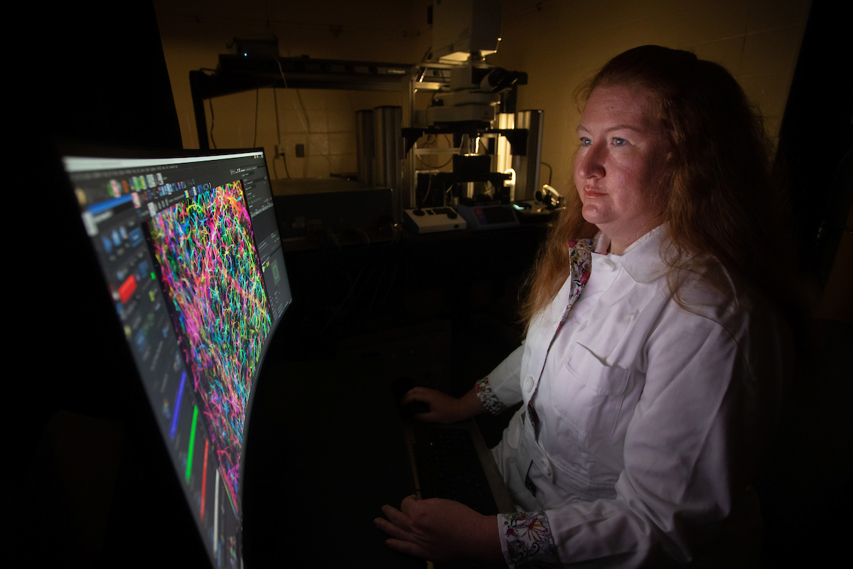 Photo of Dr. Amy Nelson looking at a graphic on the computer. She is a mentor for the Neuroscience track.
