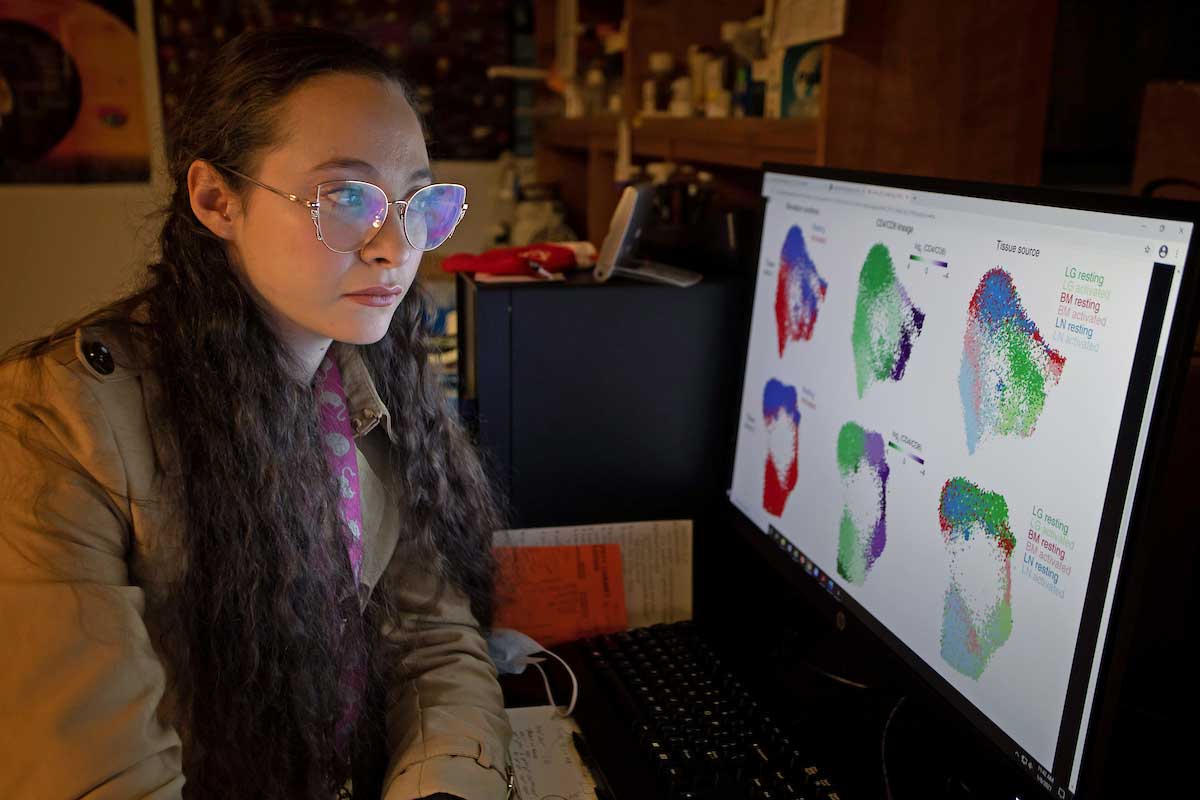 A photo of BMS student Rachel Rodenburg in the lab on a computer conducting research