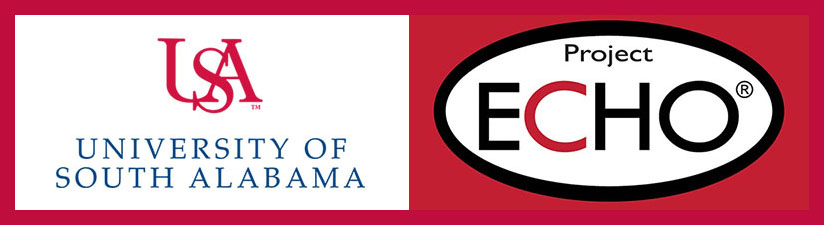 USA and Echo logos