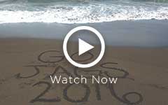 Go Jags 2016 written in the sand