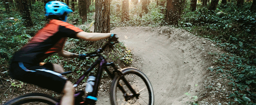 Person on bike biking through the woods.