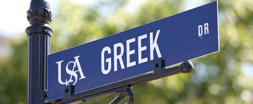 Greek Drive street sign on campus.