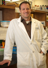 Dr. David Weber
