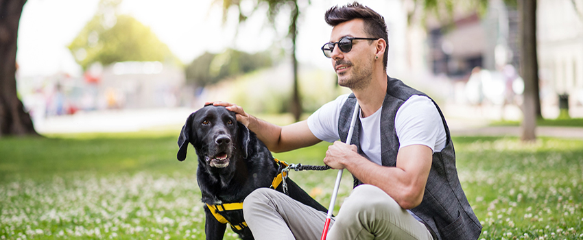 A male student sitting in the grass with his guide dog holding walking sticks.
