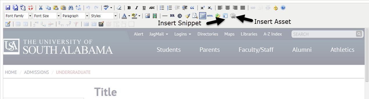 Insert Snippet or Asset