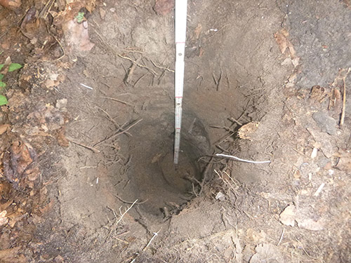 Shovel testing hole in dirt.